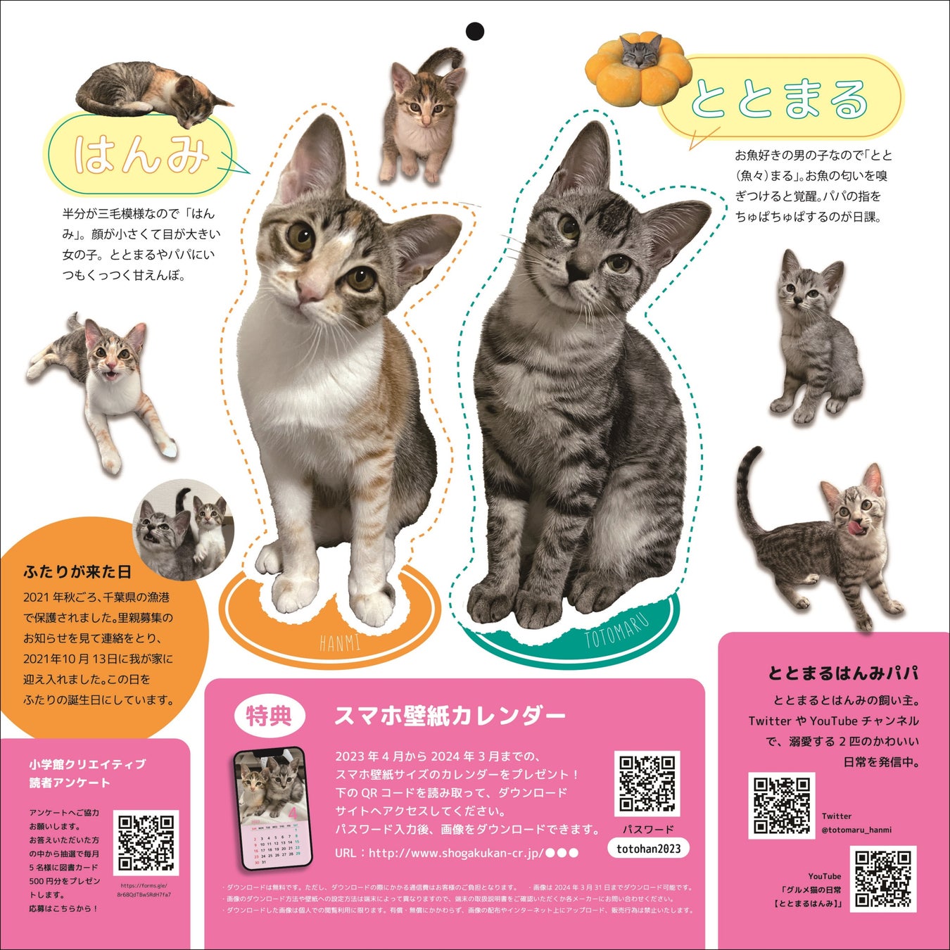 Snsで話題の兄妹猫 待望のカレンダー ととまる はんみカレンダー23 4月はじまり 発売決定 素敵なプレゼントつき予約受付開始しました 株式会社小学館のプレスリリース Snsで話題の兄妹猫 待望のカレンダー ととまる はんみカレンダー23 4月はじまり 発売決定 素敵なプレゼントつき予約受付開始しました 株式会社小学館のプレスリリース