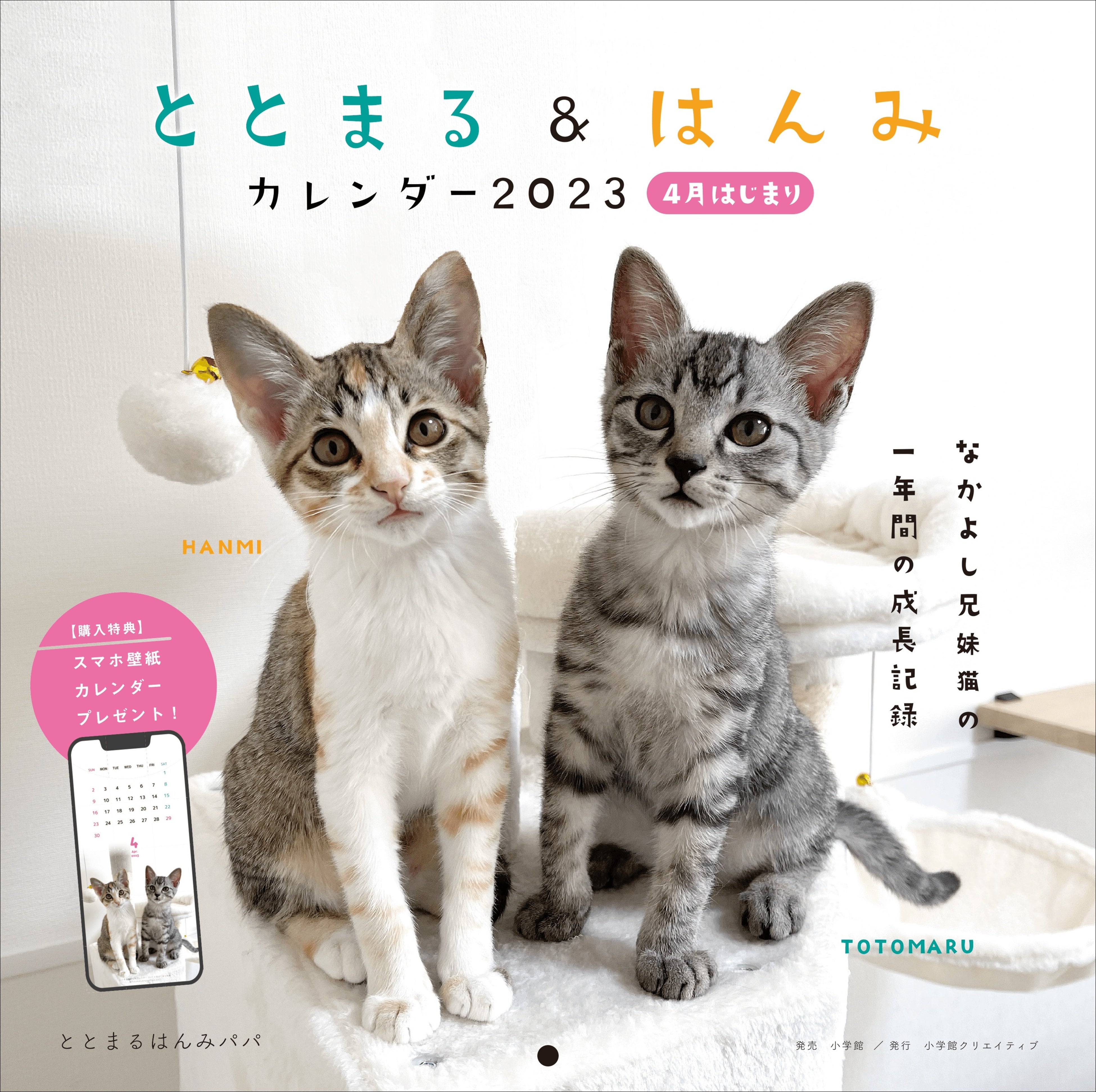 ※画像は制作中のものになります