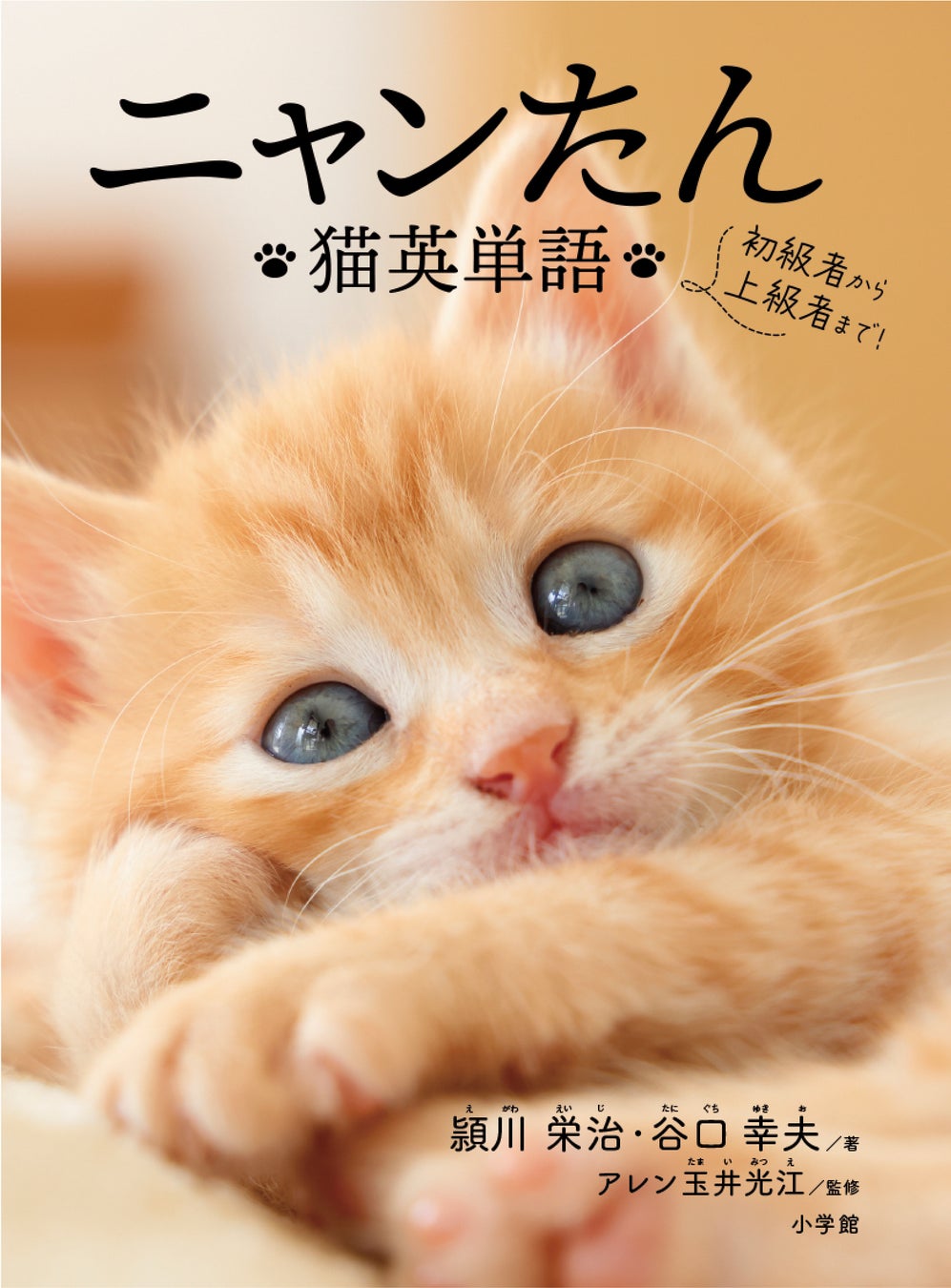 「ニャンたん ―猫英単語―」で楽しく英単語を覚えよう!猫好き必見の1冊、6月29日発売! 「ニャンたん ―猫英単語―」で楽しく英単語を覚えよう!猫好き必見の1冊、6月29日発売!