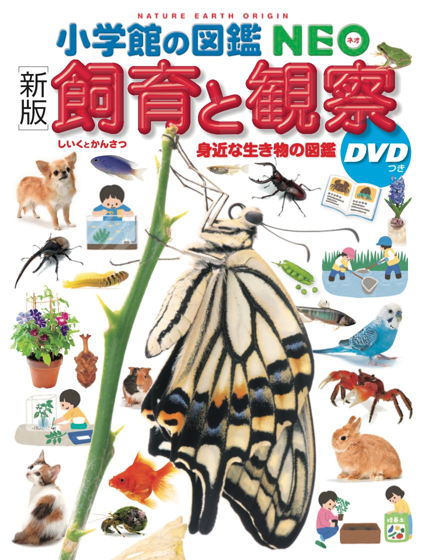 14冊セット 小学館の図鑑NEO 動物 植物 昆虫 英語つき有 受験 勉強 14冊セット 小学館の図鑑NEO 動物 植物 昆虫 英語つき有 受験