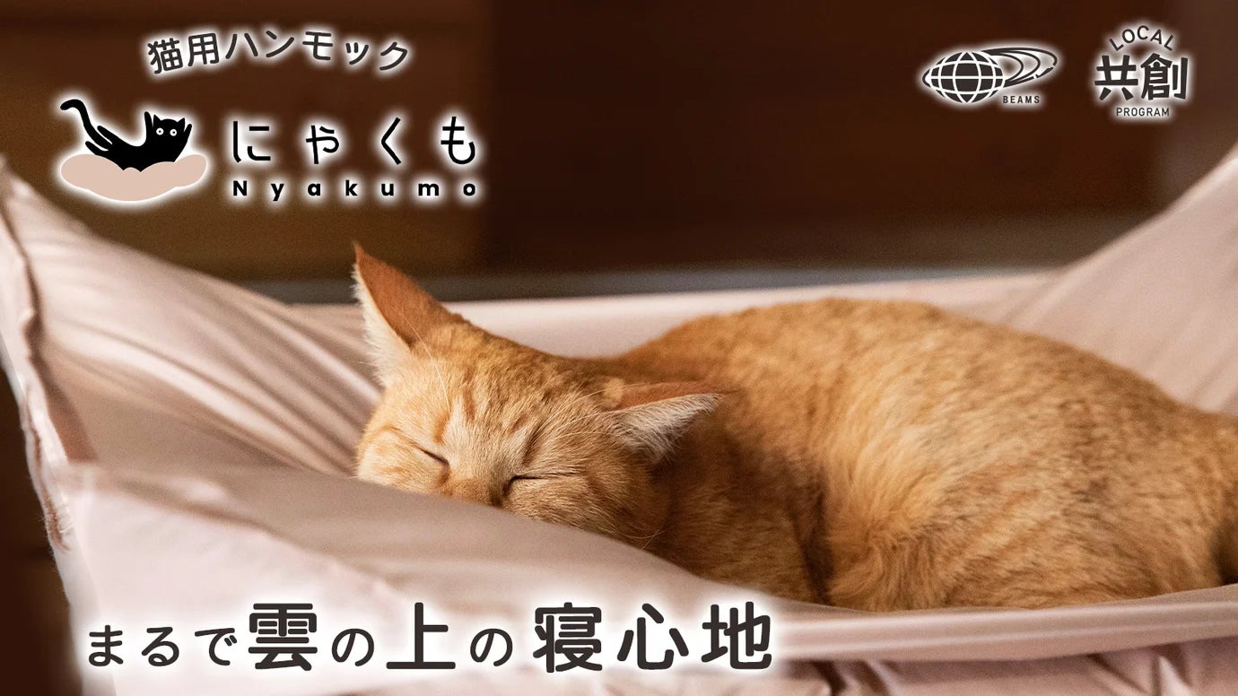 まるで雲の上の寝心地 布団屋が贈る猫用ハンモック「猫雲(にゃくも まるで雲の上の寝心地 布団屋が贈る猫用ハンモック「猫雲(にゃくも