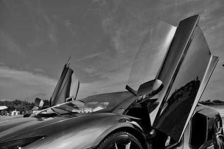 参考画像：シザーズドア