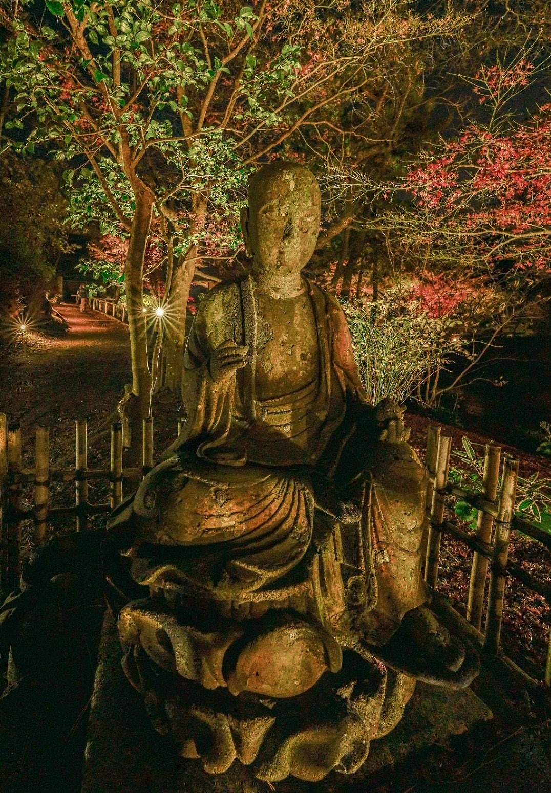 特選作品「夜に祈る」