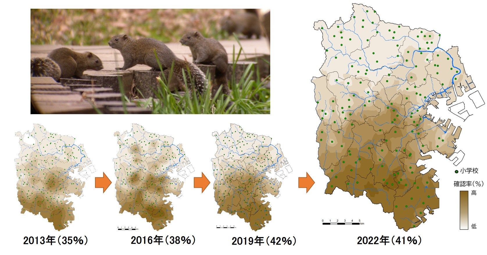 これまでの10年で横浜の小学生のべ10万人超が生き物調査に参加 横浜市のプレスリリース これまでの10年で横浜の小学生のべ10万人超が生き物調査に参加 横浜市のプレスリリース