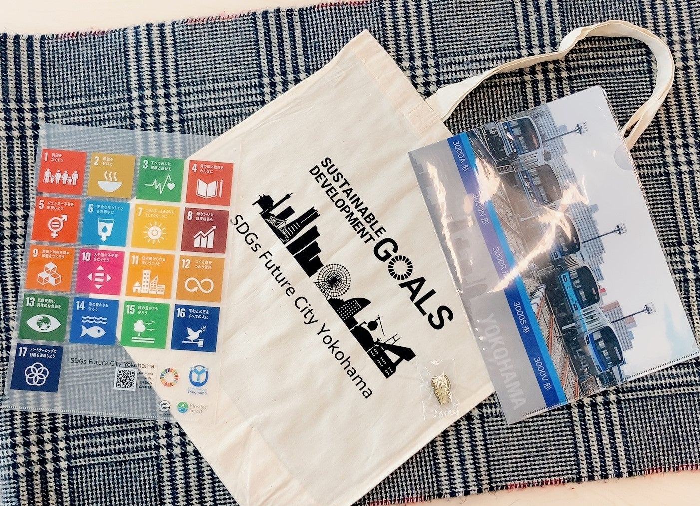 先着プレゼントイメージ（オリジナルエコバッグ）