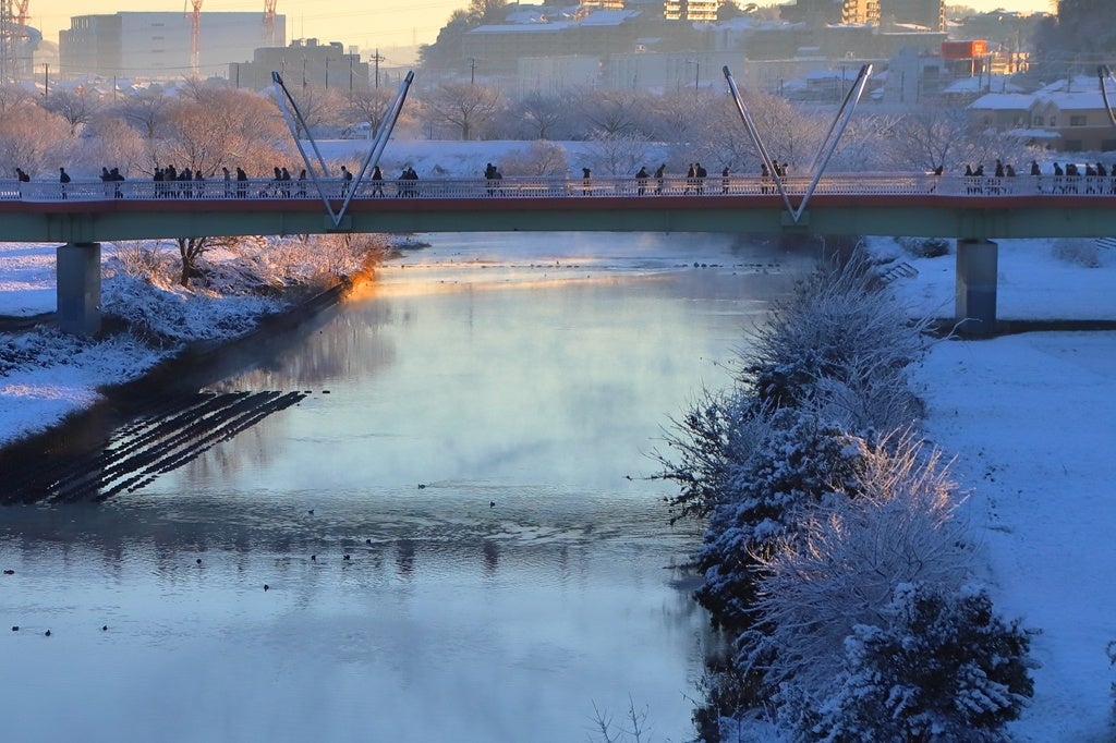 過去の入賞作品