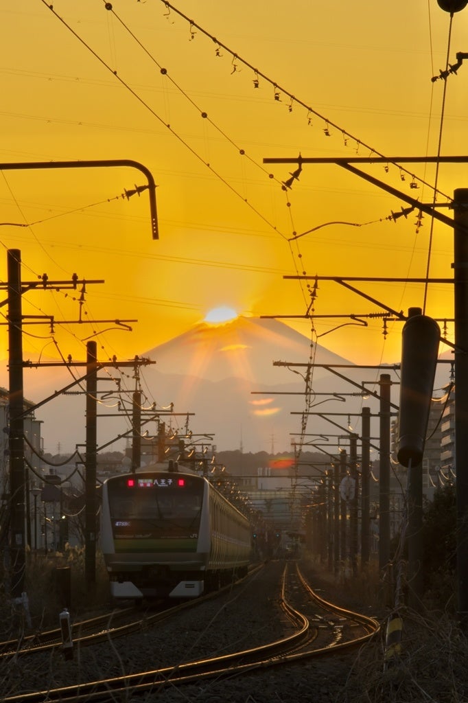 過去の入賞作品