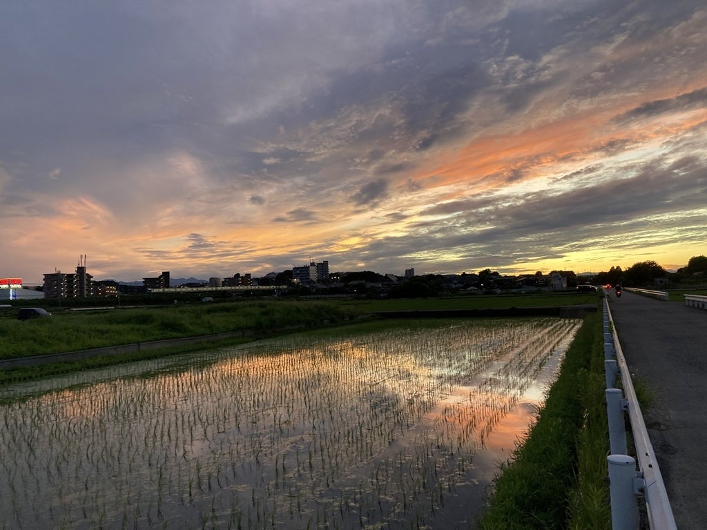過去の入賞作品
