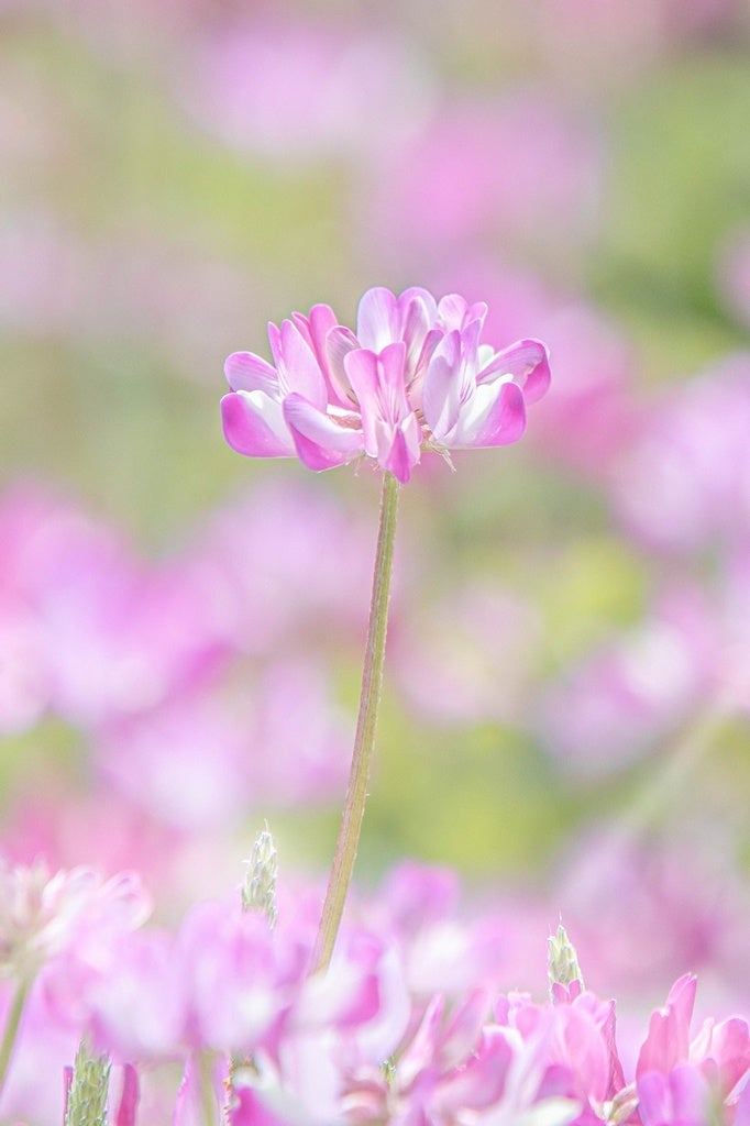 過去の入賞作品