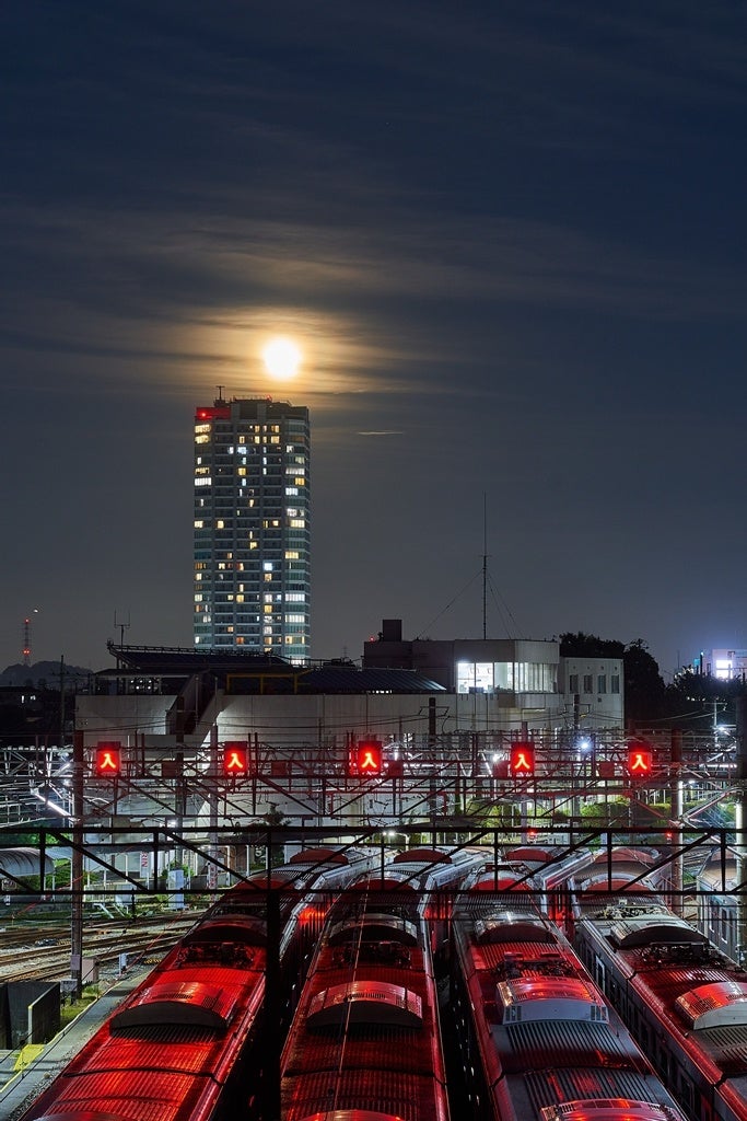 過去の入賞作品