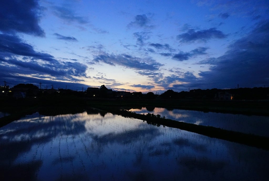 過去の入賞作品