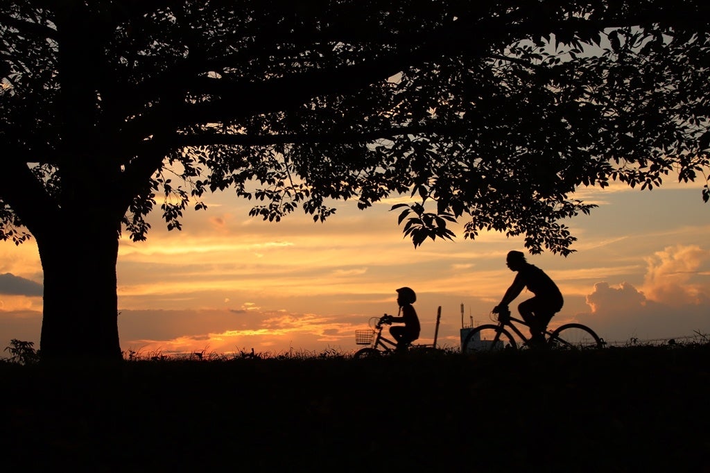 過去の入賞作品