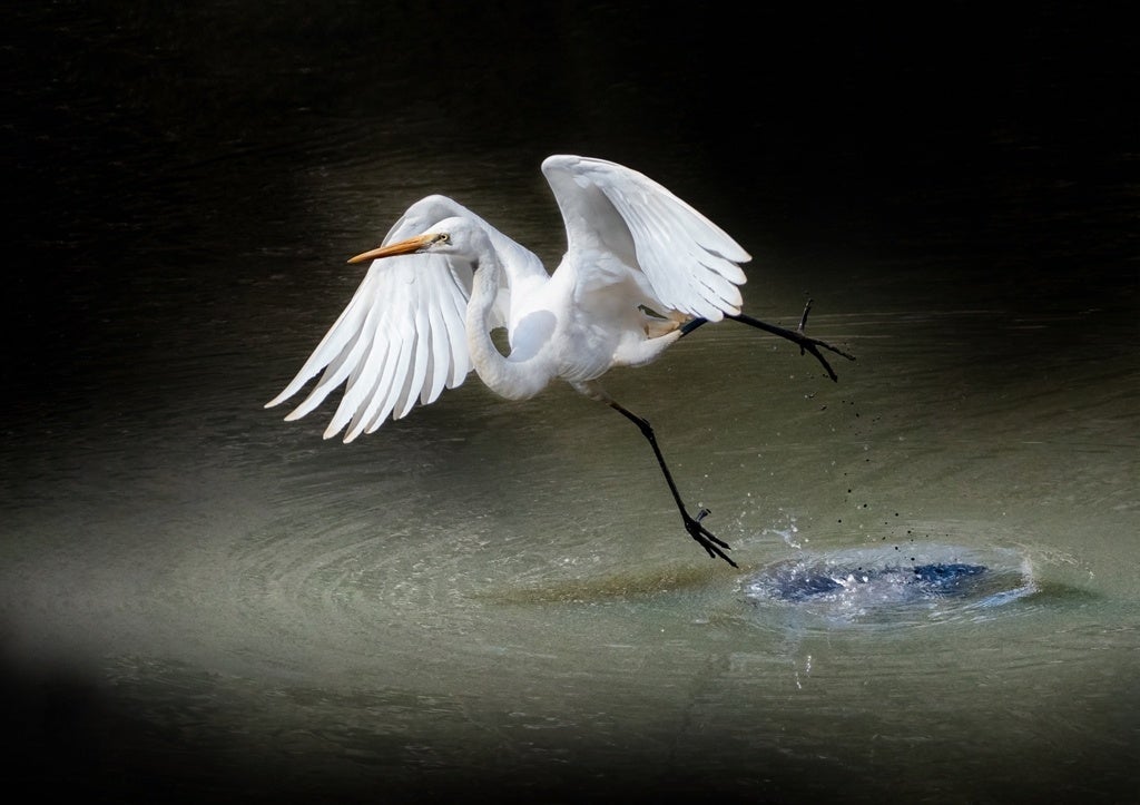過去の入賞作品