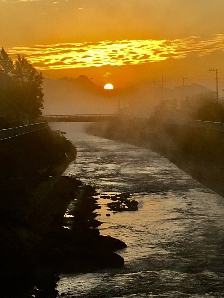 過去の入賞作品