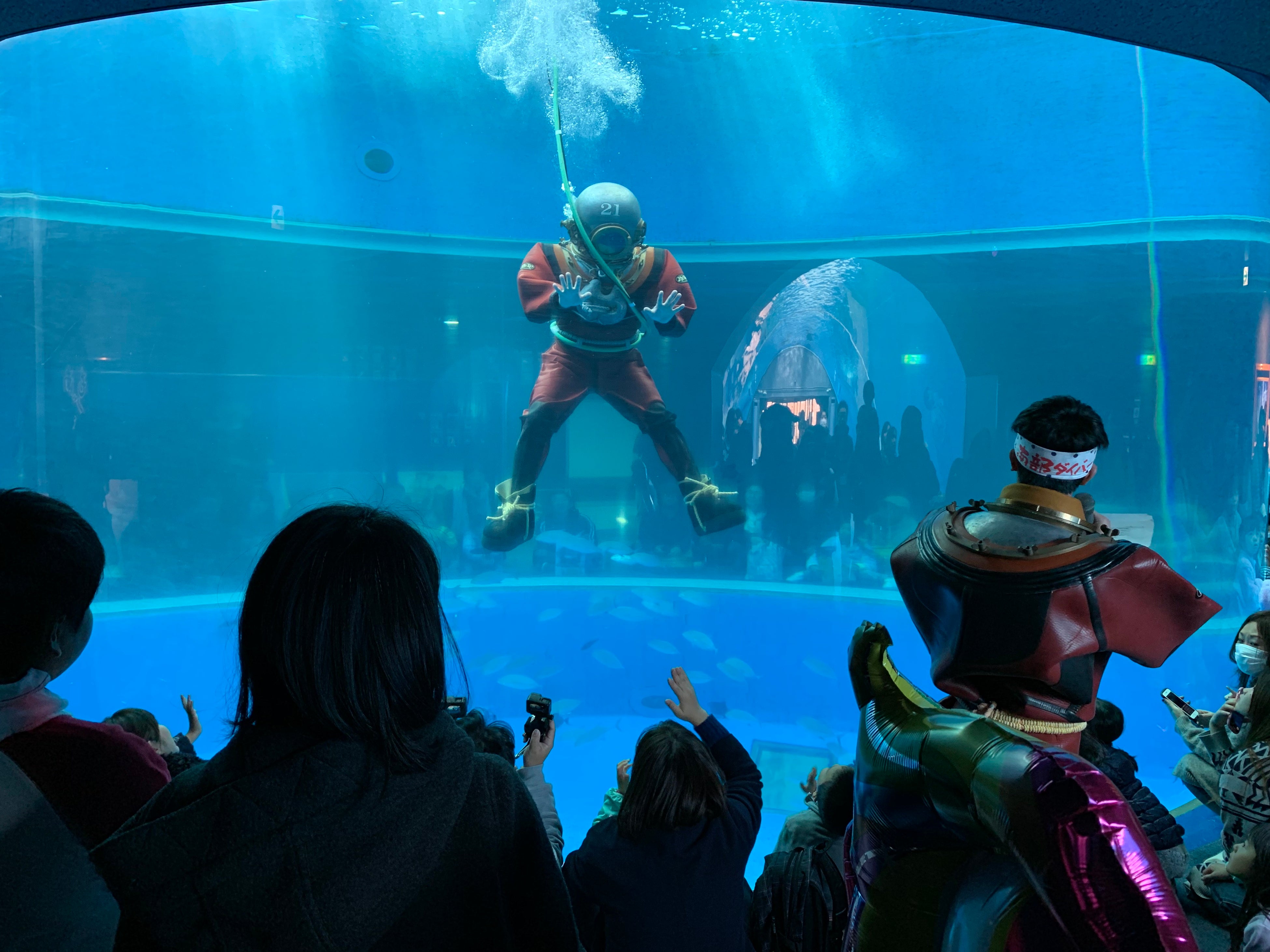 南部ダイバーパフォーマンス