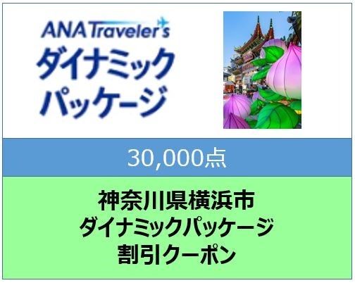 ANAトラベラーズダイナミッククーポン