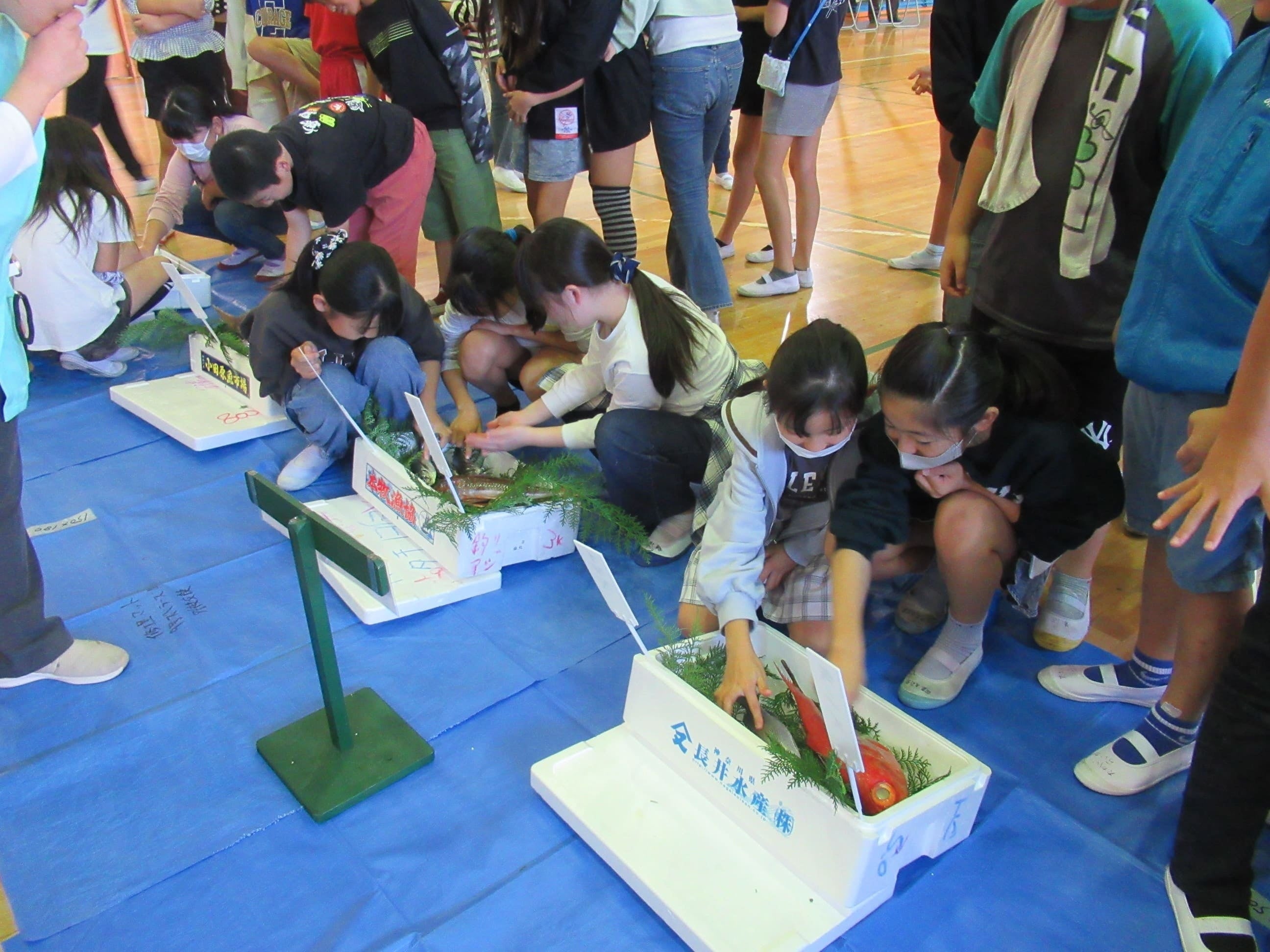 水産物部：多彩な鮮魚に触る様子