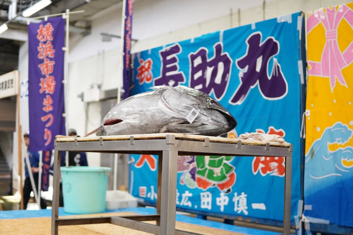 マグロの解体ショー