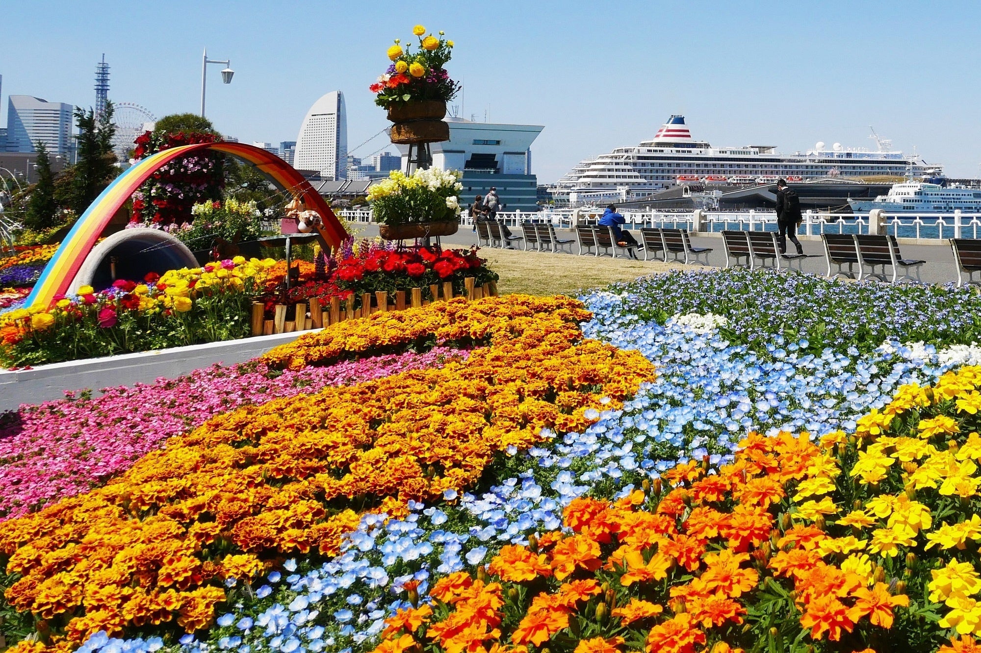 （過去の画像）