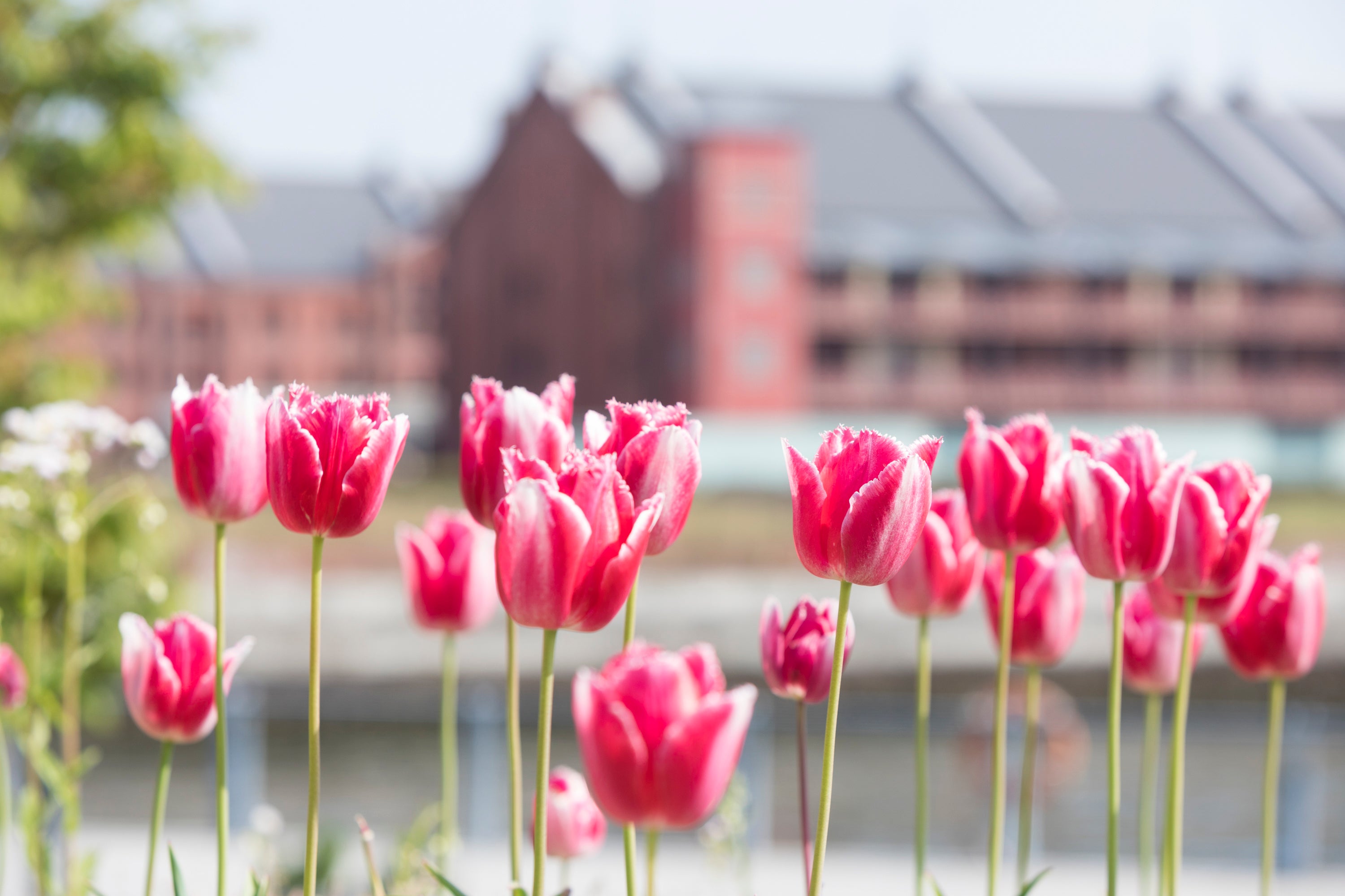「ラバーズタウン」（過去の画像）