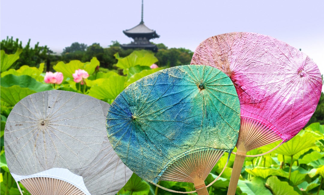 早朝に咲く大輪の蓮の花を満喫！横浜・三溪園 観蓮会 ＜7/22～8/14の金