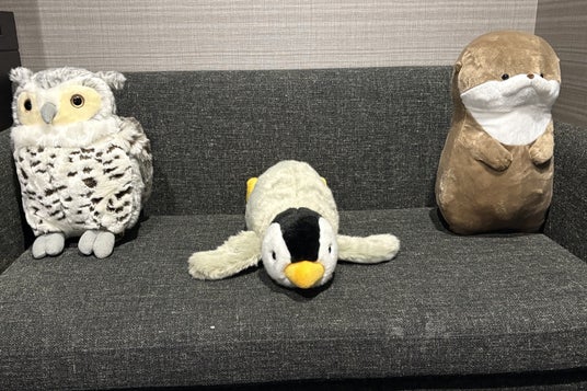 【ホテルグレイスリー那覇】開業10周年記念企画 第2弾 幻想的な“青の世界”「美ら海ルーム」が「DMMかりゆし水族館」と期間限定コラボ 【ホテルグレイスリー那覇】開業10周年記念企画 第2弾 幻想的な“青の世界”「美ら海ルーム」が「DMMかりゆし水族館」と期間限定コラボ