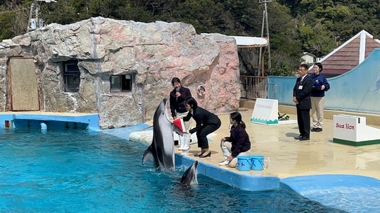 【下田海中水族館】入社式~イルカたちが新入社員を歓迎~ 2026年4月1日(水) 【下田海中水族館】入社式~イルカたちが新入社員を歓迎~ 2026年4月1日(水)