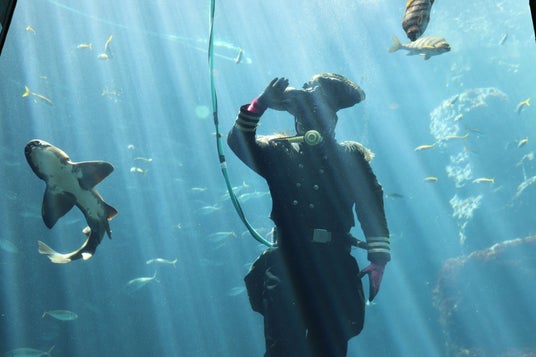 【下田海中水族館】第87回下田黒船祭を盛り上げるぞ!!“ペリー提督による魚の餌付けショー”2026年4月29日(祝・水)~5月17日(日) 【下田海中水族館】第87回下田黒船祭を盛り上げるぞ!!“ペリー提督による魚の餌付けショー”2026年4月29日(祝・水)~5月17日(日)