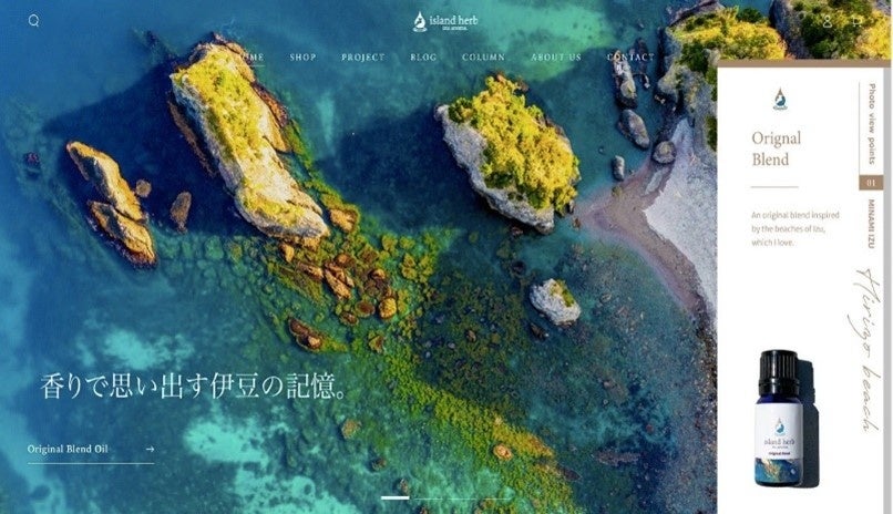 下田海中水族館で「アロマウィーク」、クラゲとウミガメの展示室が伊豆白浜の香りに
