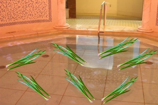 菖蒲の湯イメージ