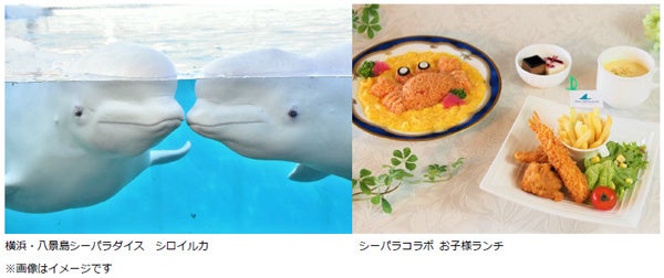 横浜桜木町ワシントンホテル 横浜 八景島シーパラダイスコラボ ランチコース Sea Paradise 藤田観光株式会社のプレスリリース