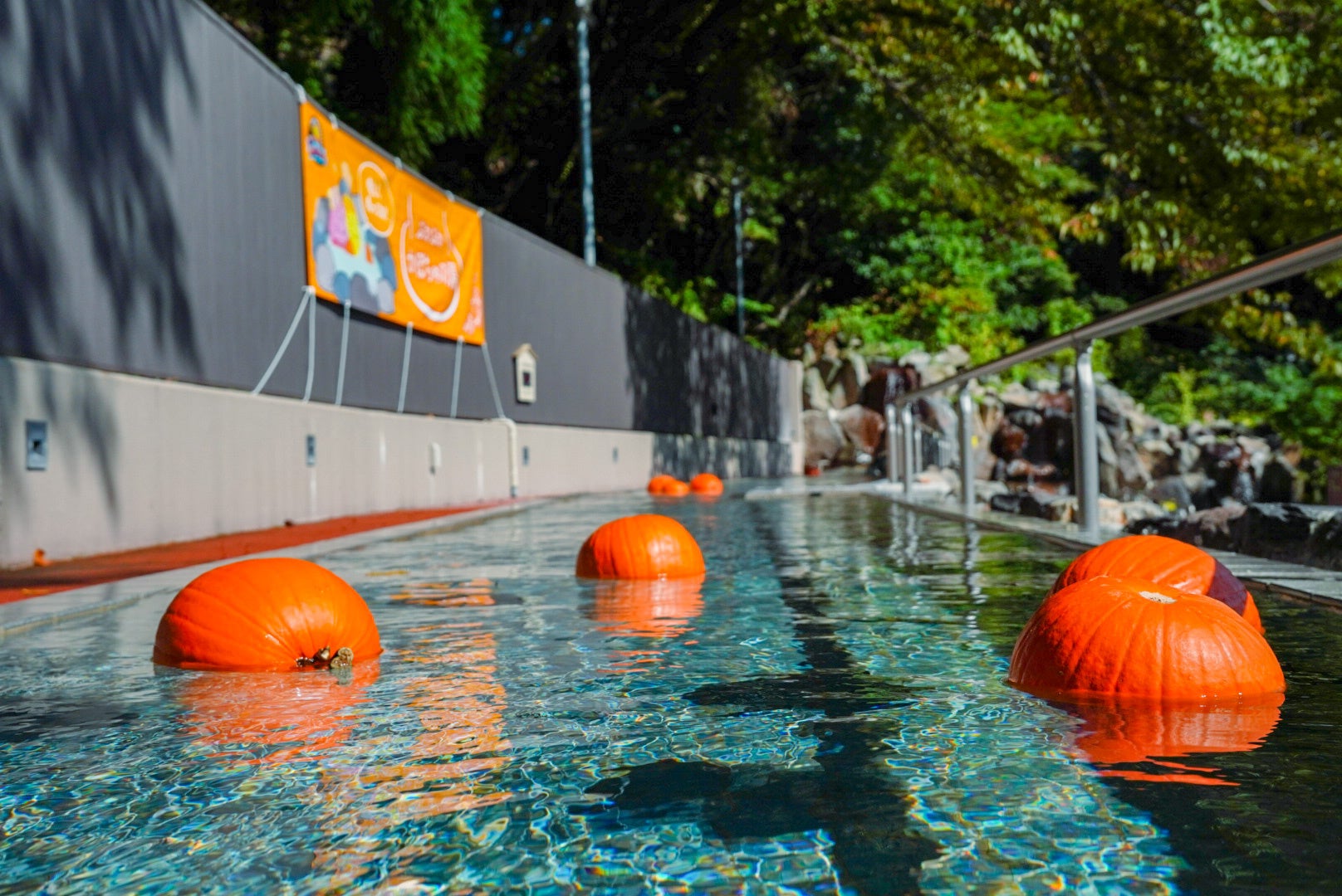 ぷかぷか　かぼちゃの湯