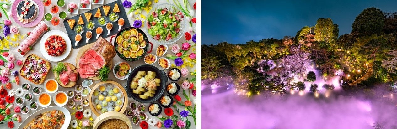ホテル椿山荘東京 1 4月にかけて順次開花 椿 と 桜 が同時に楽しめる彩どり豊かな庭園に 春のお花見ランチビュッフェ ディナービュッフェ 椿と桜と東京雲海と を2月10日よりスタート 藤田観光株式会社のプレスリリース