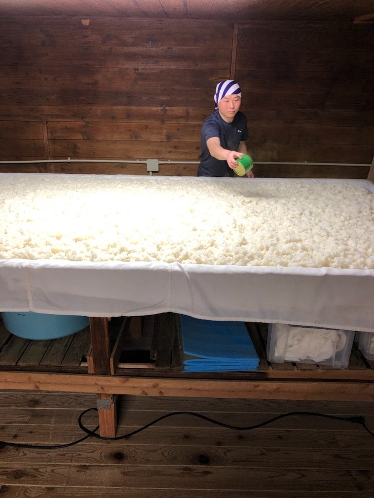 「箱根山」製造過程　麹造り