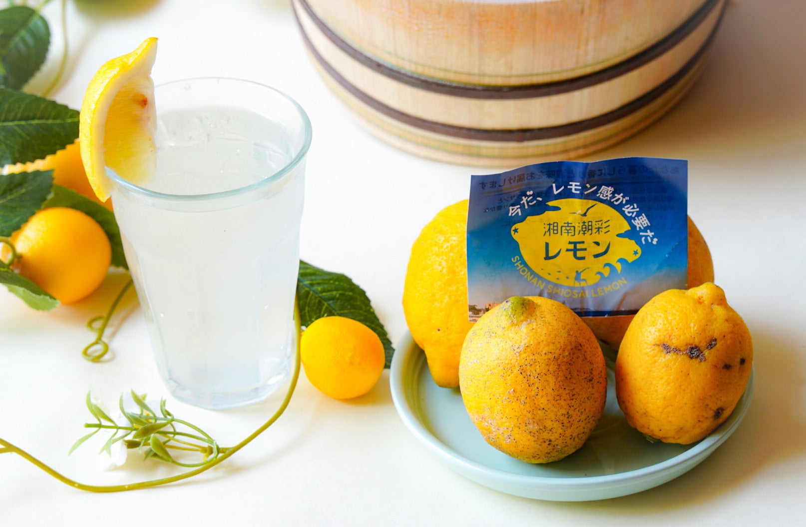 湘南潮彩レモンサワー　￥550