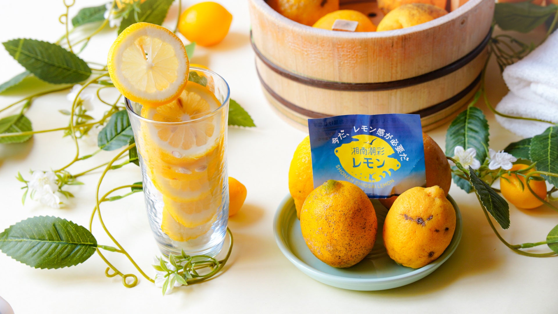 輪切りレモンはじめ、レモンモチーフのアイテムをご用意※飲食不可