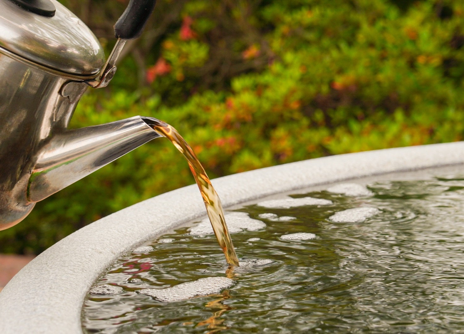 麦茶の湯※イメージ