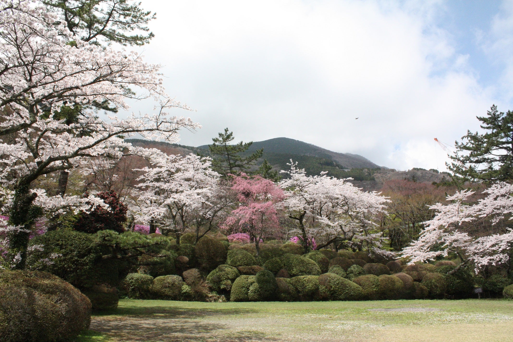 箱根小涌園　蓬莱園
