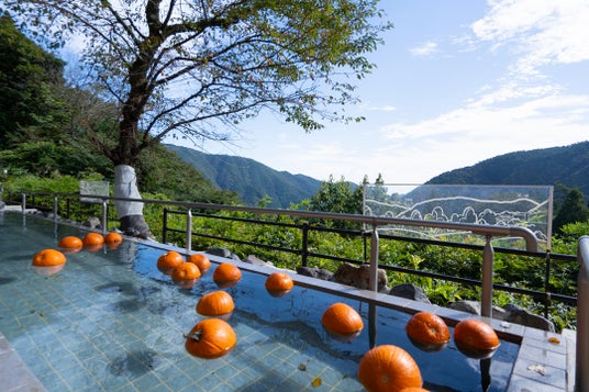 対象は月曜日だけじゃない!生活様式の変化に対応 秋の“振替休日キャンペーン” 対象は月曜日だけじゃない!生活様式の変化に対応 秋の“振替休日キャンペーン”