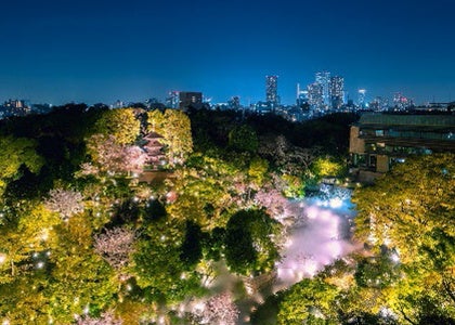 ホテル椿山荘東京 桜が咲く空中庭園でのイブニングハイティーや春の彩りが可愛らしい 花見 弁当 など各種メニュー プランを提供 藤田観光株式会社のプレスリリース ホテル椿山荘東京 桜が咲く空中庭園でのイブニングハイティーや春の彩りが可愛らしい 花見 弁当 など各種メニュー プランを提供 藤田観光株式会社のプレスリリース