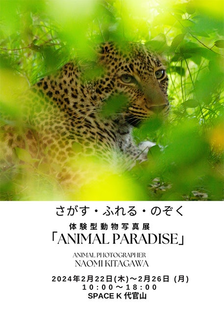 体験型動物写真展『ANIMAL PARADISE』が代官山で開催中！