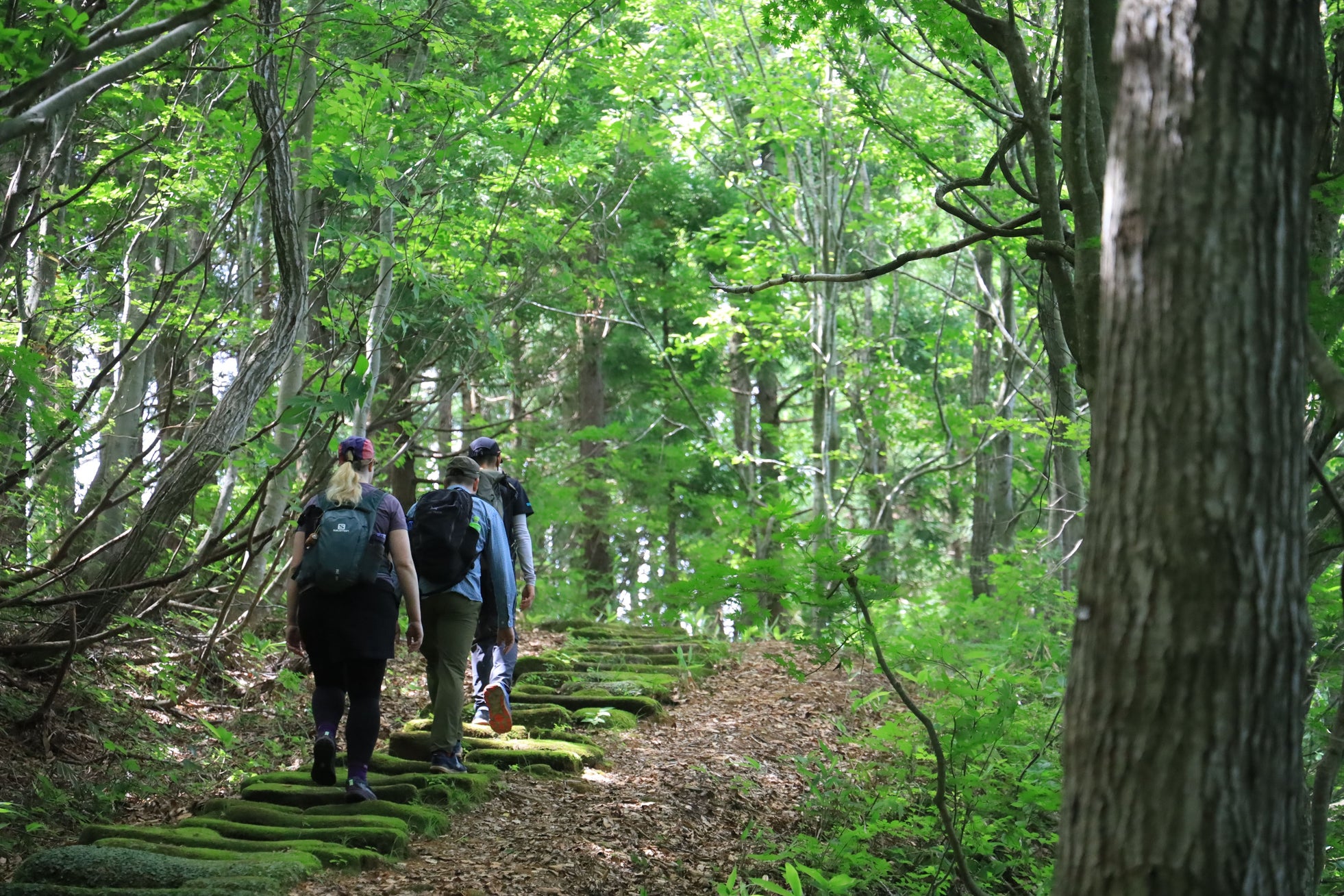 山形の“文化・自然・食・人とのつながり”を体感するインバウンド ツアー実施