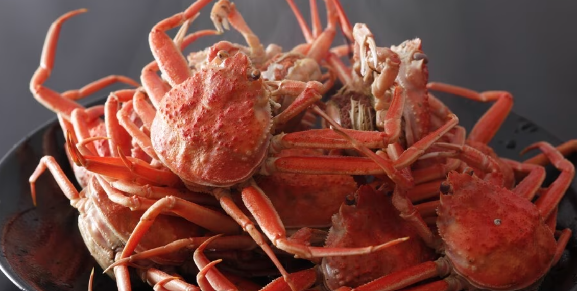 期間限定】お一人様のご利用もOK！「割烹たんご」で堪能する オス活