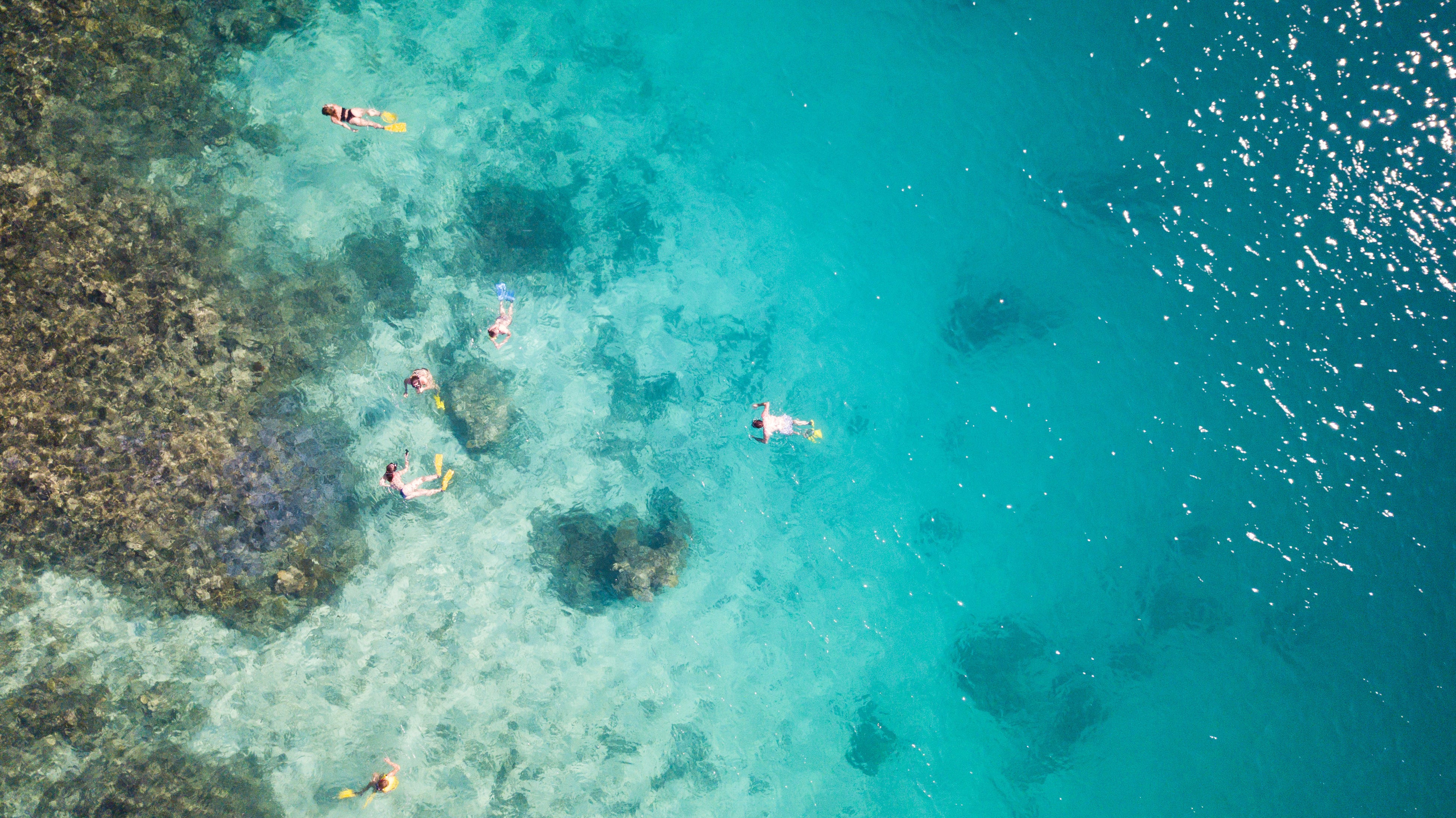 Credit  Awesome Adventures