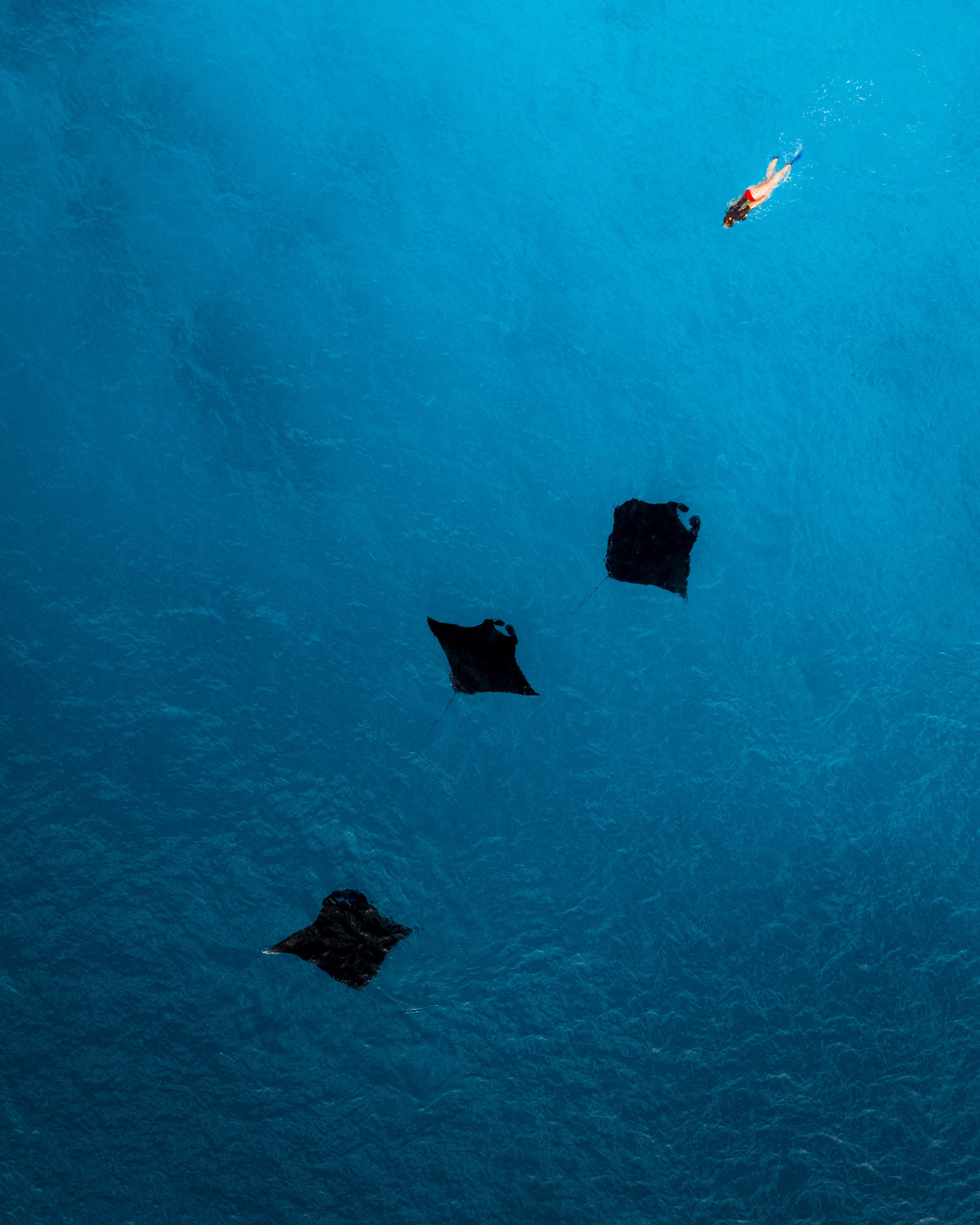 写真：フィジー政府観光局