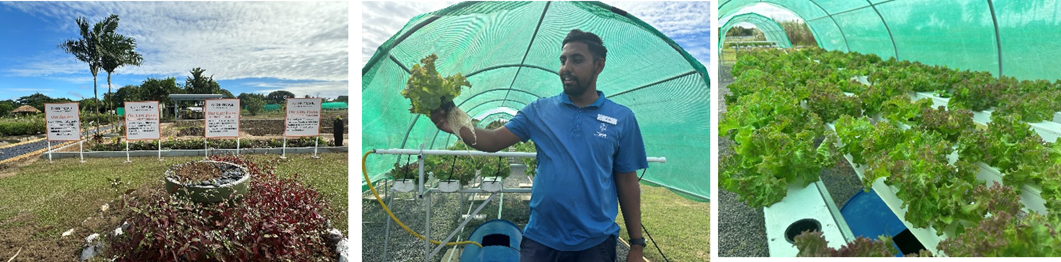 クレジット：フィジー政府観光局