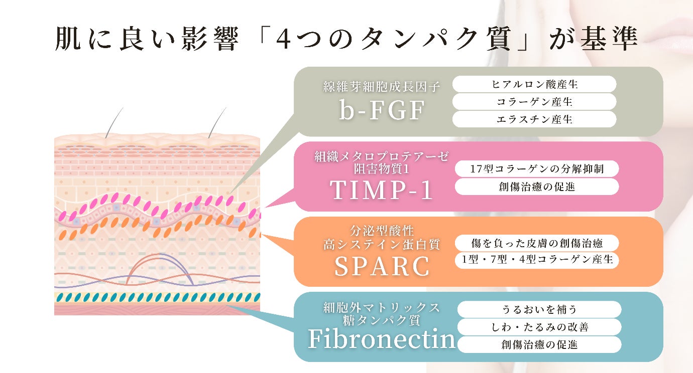 4つのタンパク質