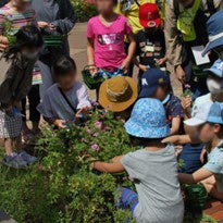 「公園のさんぽとミニブーケづくりワークショップ」（2023年）