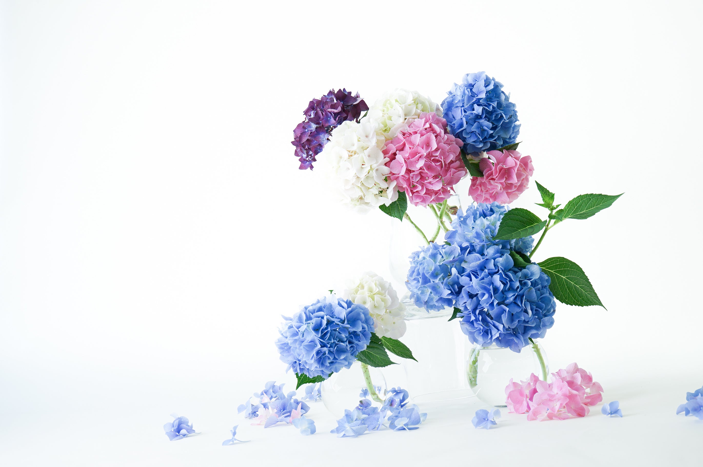 ご自宅用のため短い丈での販売が可能