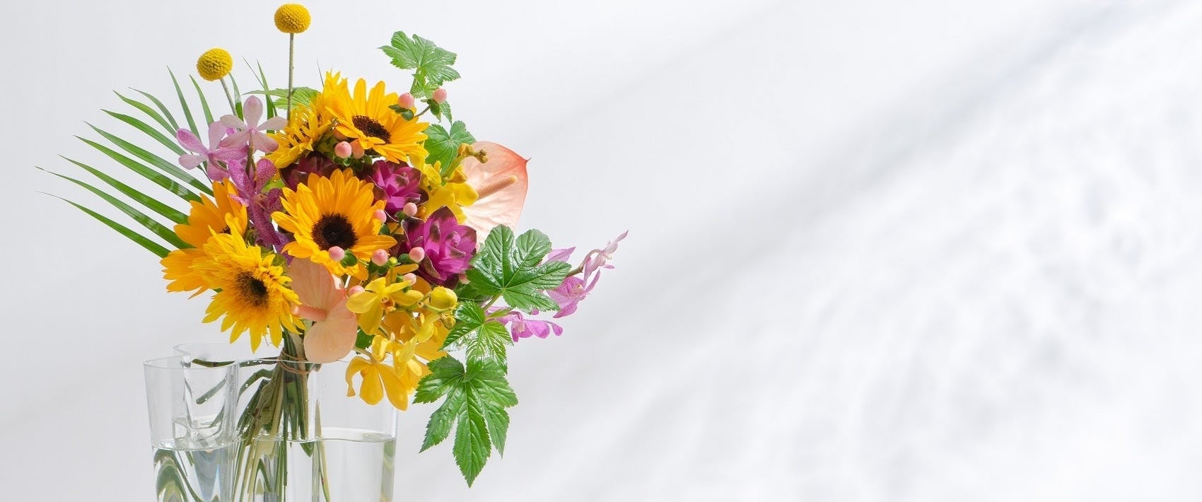 HitoHanaのサマーフラワーギフト